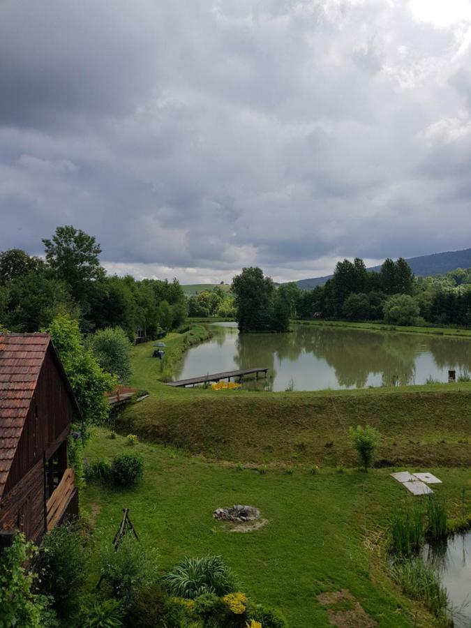 Na Stawach Guest House Stryszow Eksteriør bilde