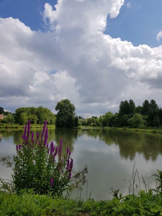 Na Stawach Guest House Stryszow Eksteriør bilde